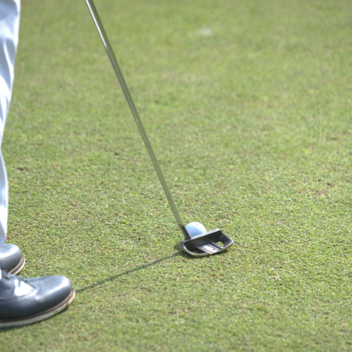 Golfer putting on the green at Forest Hill Golf Links Chandigarh