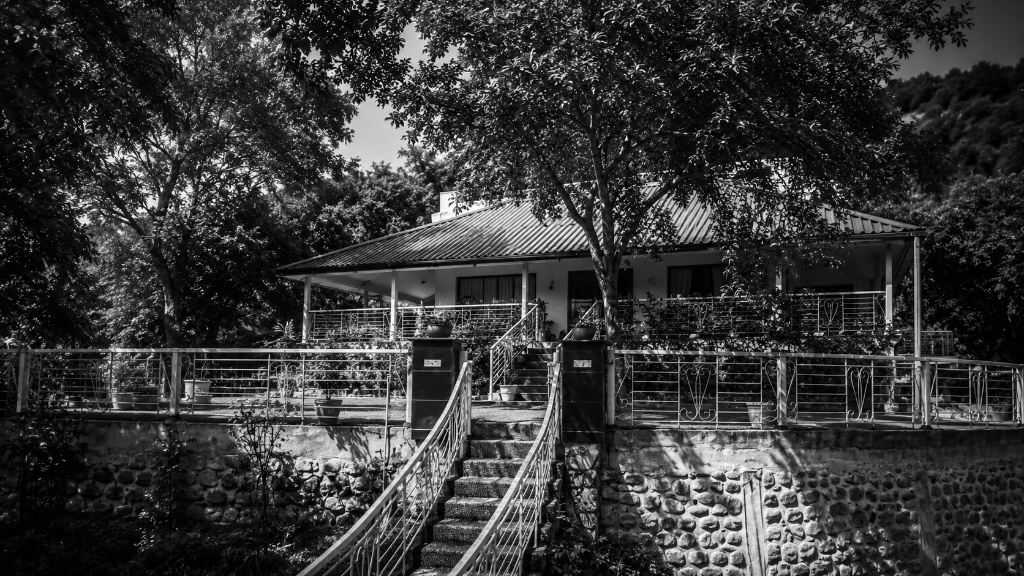 Forest Hill Golf Resort — Partners & Associates