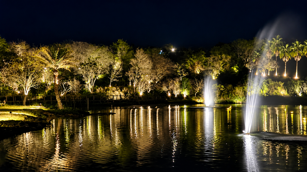 Forest Hill Resort — illuminated lakeside garden at night